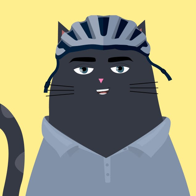 Vanja's avatar is a friendly-looking black cat wearing a bicycle helmet. The helmet suggests a sporty or adventurous personality, perhaps indicating that Vanja enjoys outdoor activities. The cat's overall expression is calm and confident.