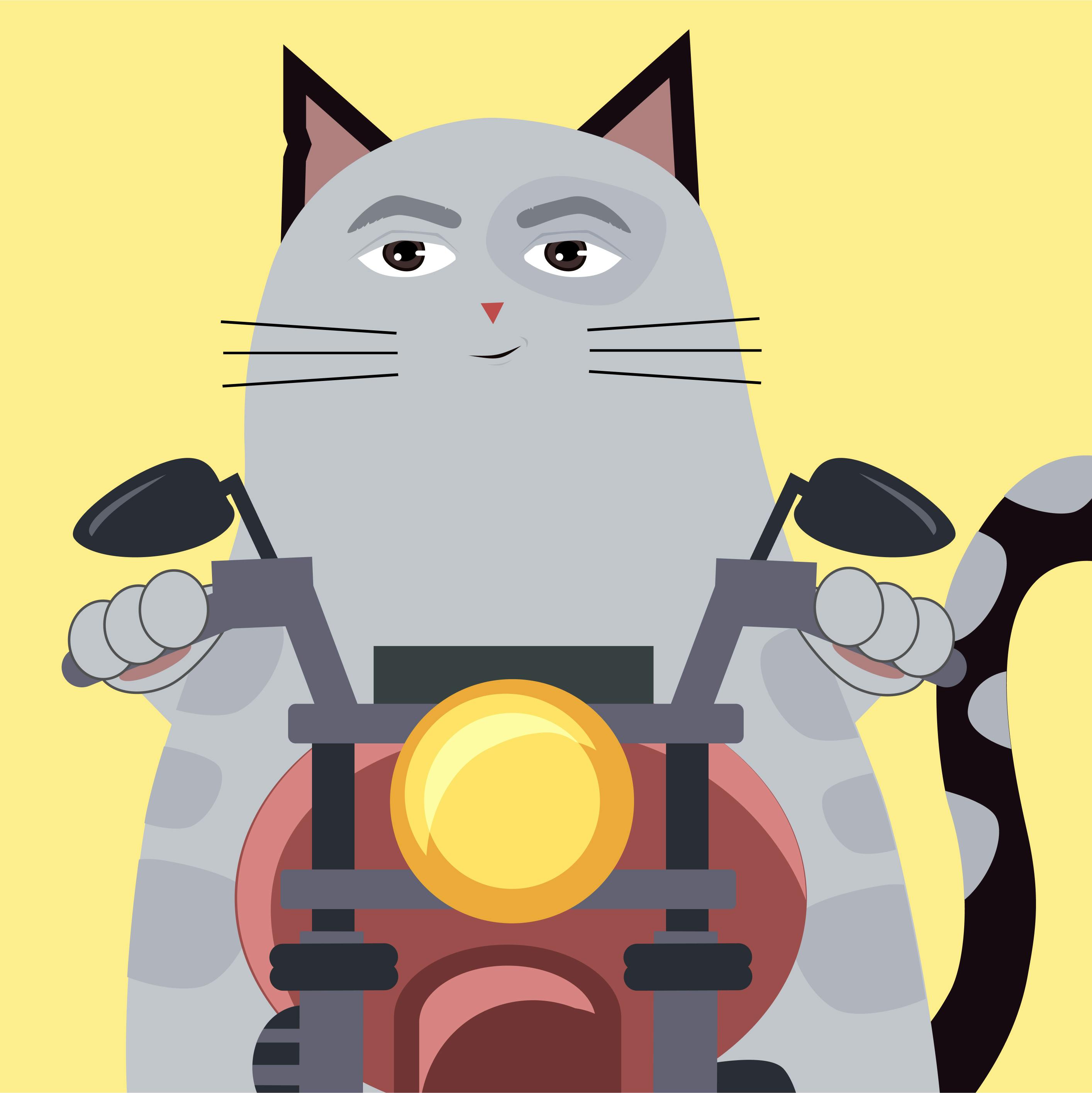 Aleksandar's avatar is a cool-looking gray cat riding a motorcycle. The motorcycle suggests a daring or adventurous personality, perhaps indicating that Aleksandar enjoys thrill-seeking activities or has a love for speed.