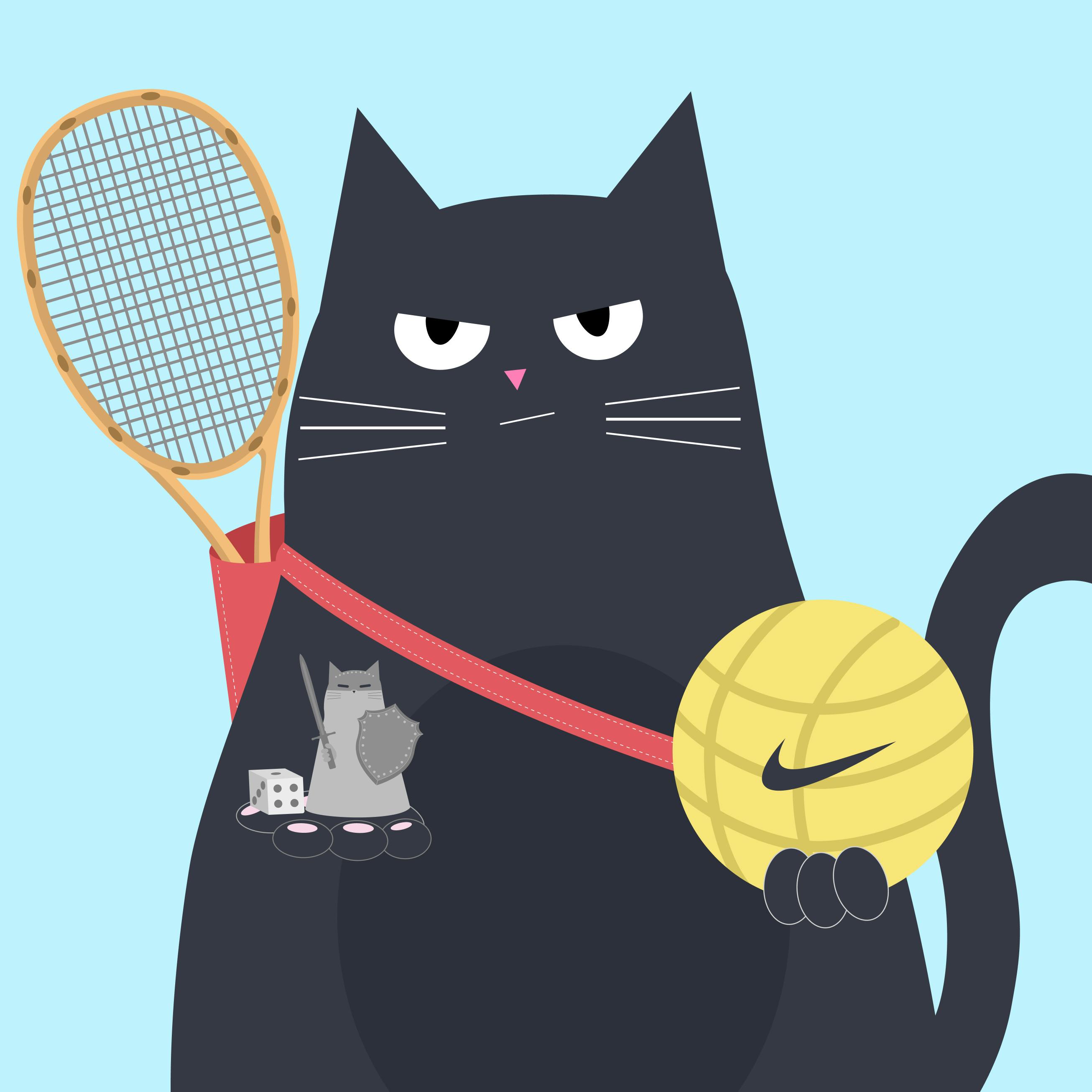 Branislav's avatar is a large, black cat carrying a tennis racket and a volleyball. The cat has a somewhat grumpy expression, which might suggest a playful or competitive personality. 