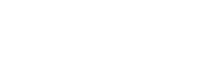 Insightful logo